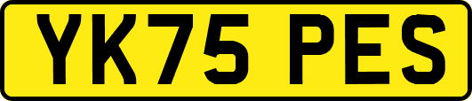 YK75PES