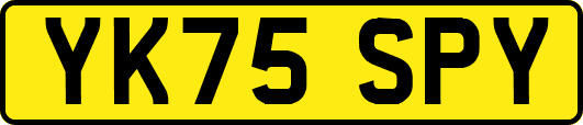 YK75SPY