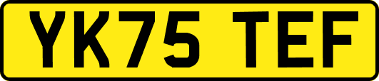 YK75TEF