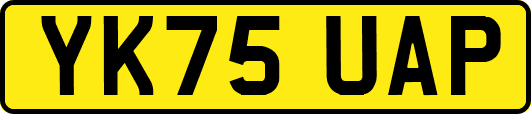 YK75UAP