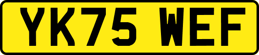 YK75WEF
