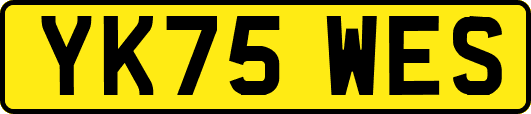 YK75WES