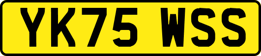 YK75WSS