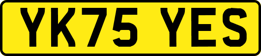 YK75YES
