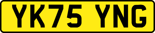 YK75YNG