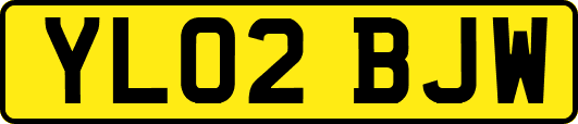 YL02BJW