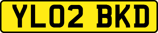 YL02BKD