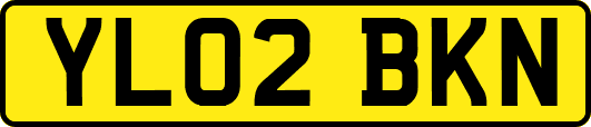YL02BKN