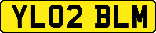 YL02BLM