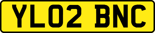 YL02BNC