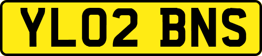 YL02BNS