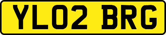 YL02BRG
