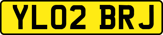 YL02BRJ