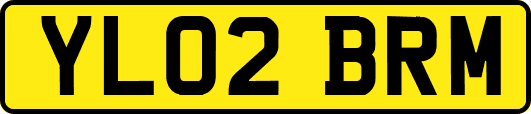 YL02BRM