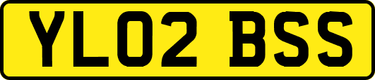 YL02BSS