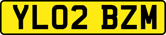 YL02BZM
