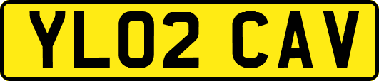 YL02CAV