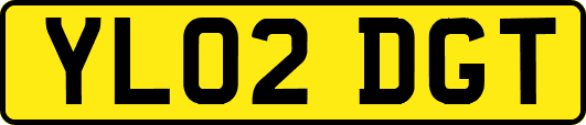 YL02DGT