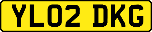 YL02DKG
