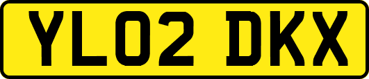 YL02DKX