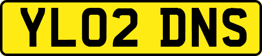 YL02DNS