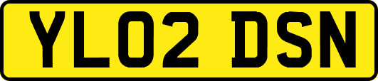 YL02DSN
