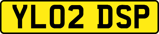 YL02DSP