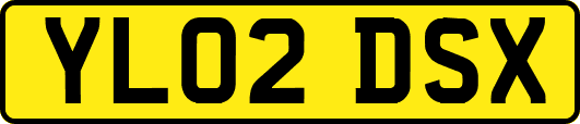 YL02DSX