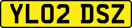 YL02DSZ