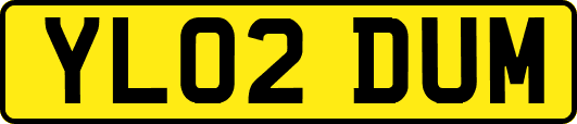YL02DUM