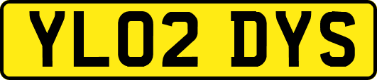YL02DYS