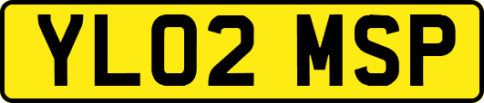 YL02MSP