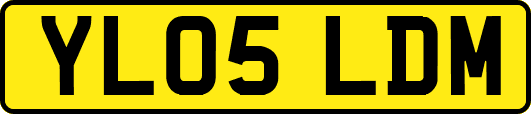 YL05LDM