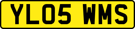 YL05WMS