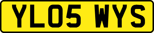 YL05WYS