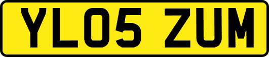 YL05ZUM