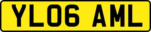YL06AML