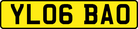 YL06BAO