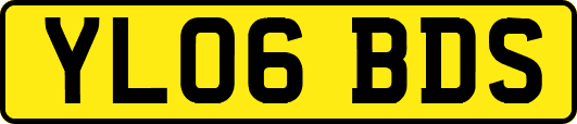 YL06BDS