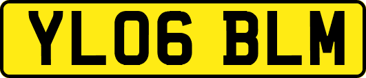 YL06BLM
