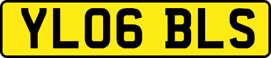 YL06BLS