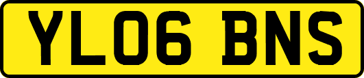 YL06BNS