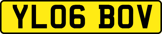 YL06BOV