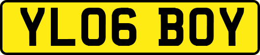 YL06BOY