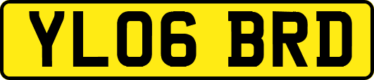 YL06BRD
