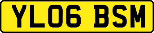 YL06BSM