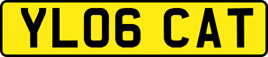 YL06CAT