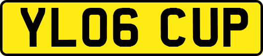 YL06CUP
