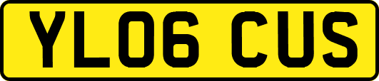 YL06CUS