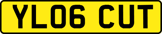YL06CUT